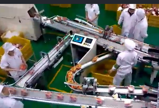 當(dāng)輸送帶出現(xiàn)跑偏后，怎么辦？